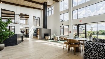 Living room with expansive window